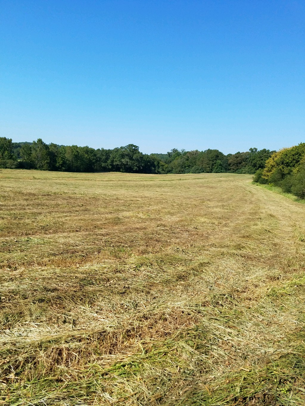 1420 W Highway 166, Bowdon, GA for sale Primary Photo- Image 1 of 1