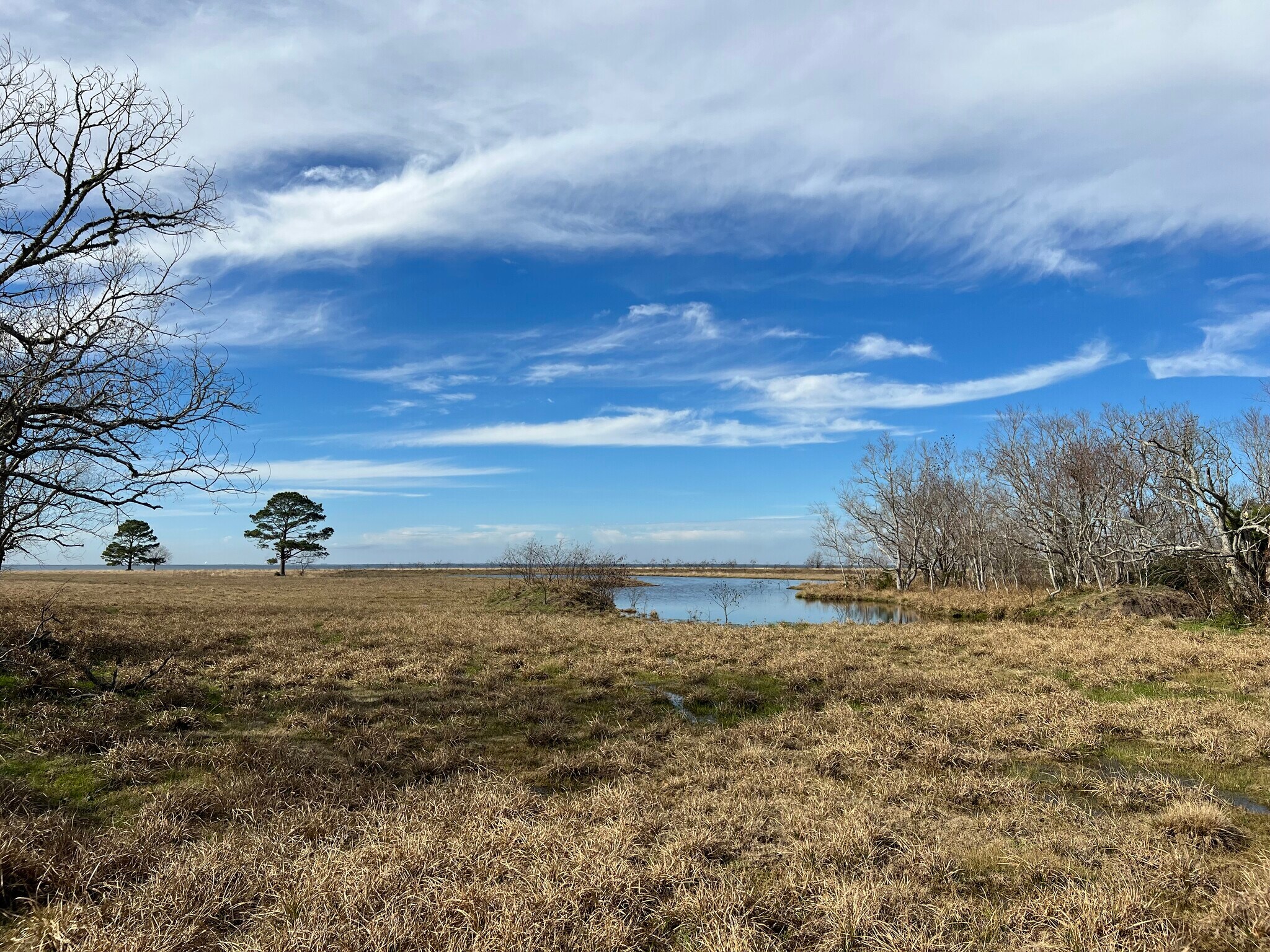 W Bayshore, Anahuac, TX 77514 123 AC Coastal Land
