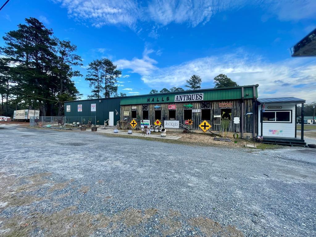 Hwy 300, Warwick, GA for sale Primary Photo- Image 1 of 1