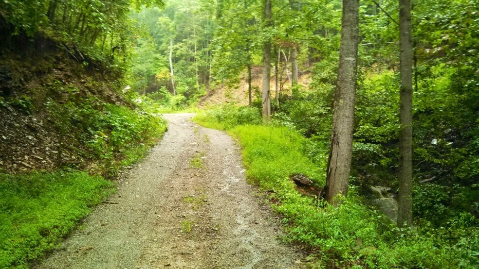 25040 N Fork River Rd, Abingdon, VA 24210