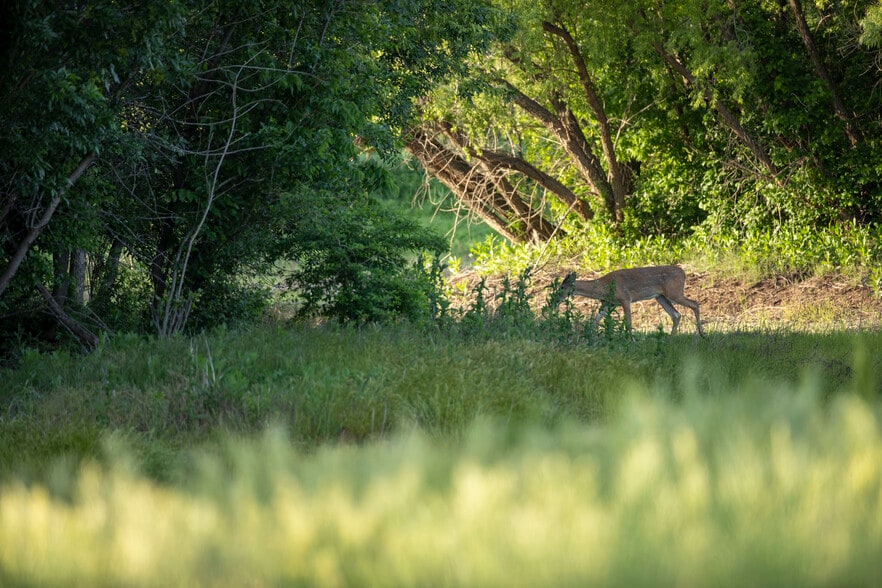 250 Ute Rd, Delphos, KS for sale - Building Photo - Image 3 of 16