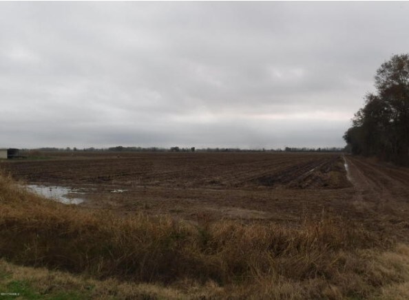 Virginia Rd, Rayne, LA for sale Primary Photo- Image 1 of 1