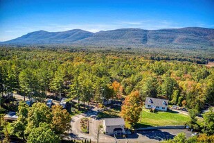 Blue Mountain Campground - Campground