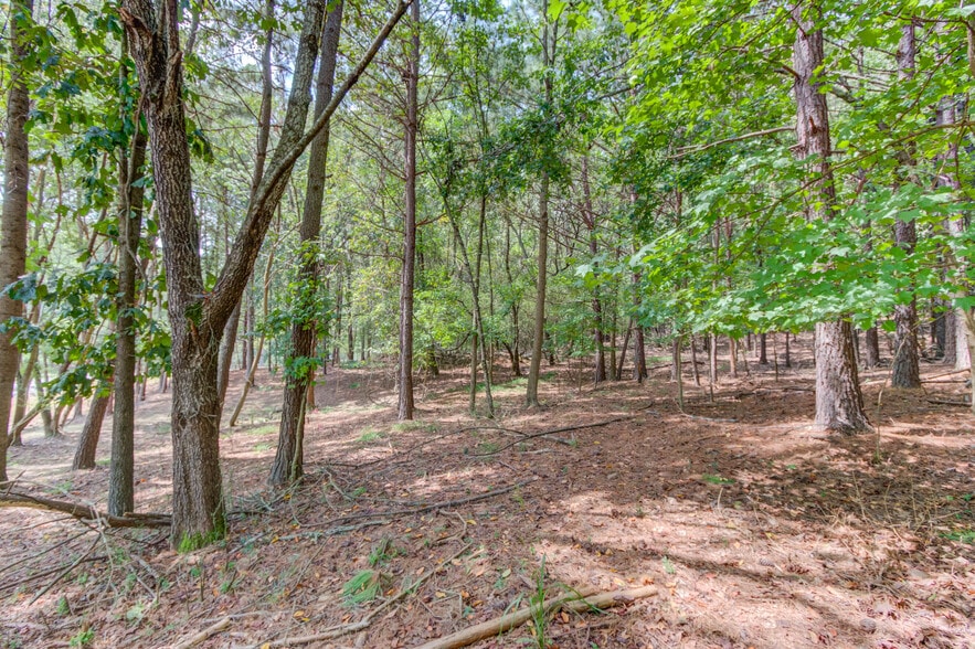 Shady Grove at Heard Rd, Cumming, GA for sale - Other - Image 3 of 20