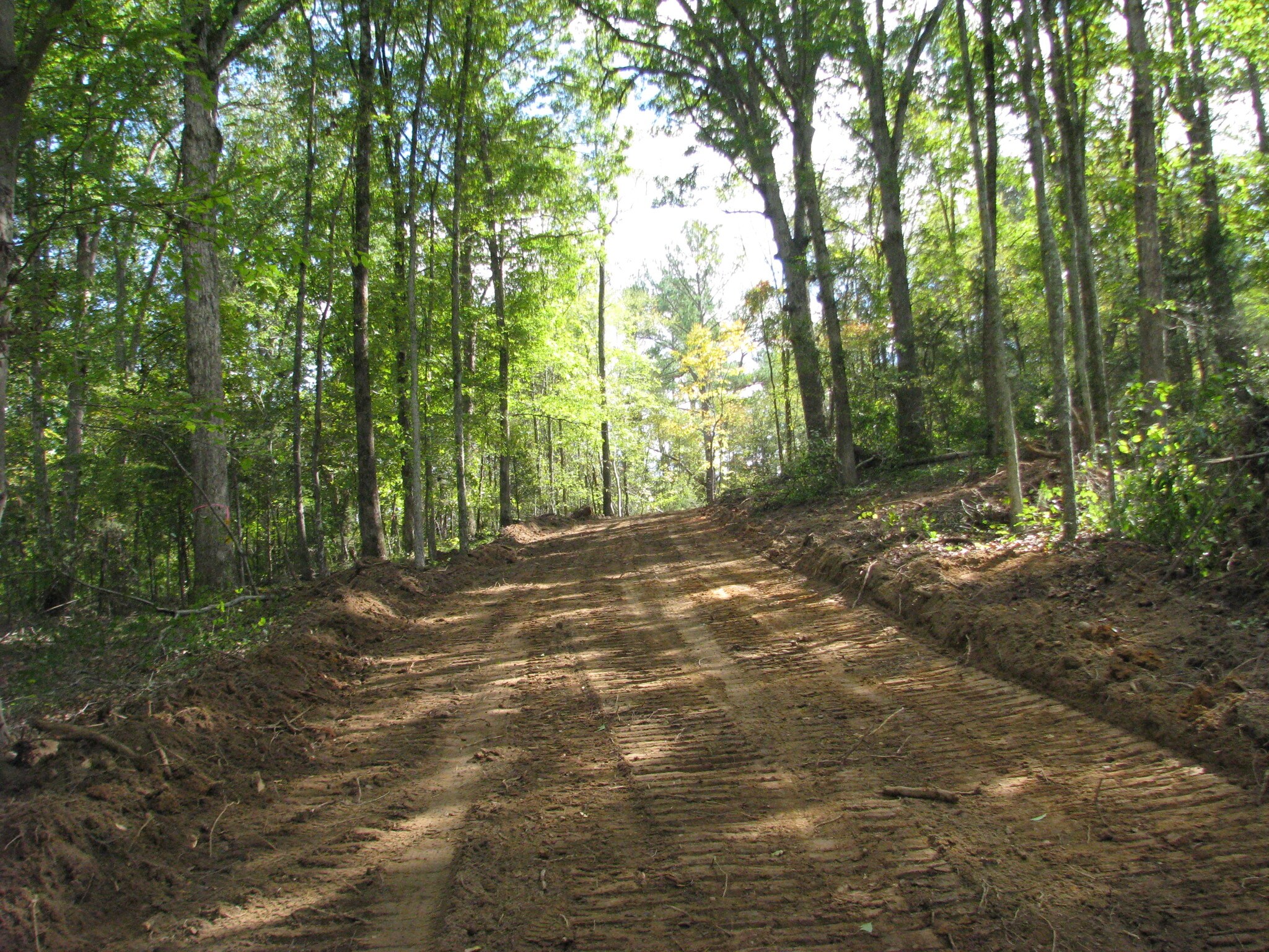 106 Ac Turkey Creek Ridge Rd, York, SC for sale Interior Photo- Image 1 of 1