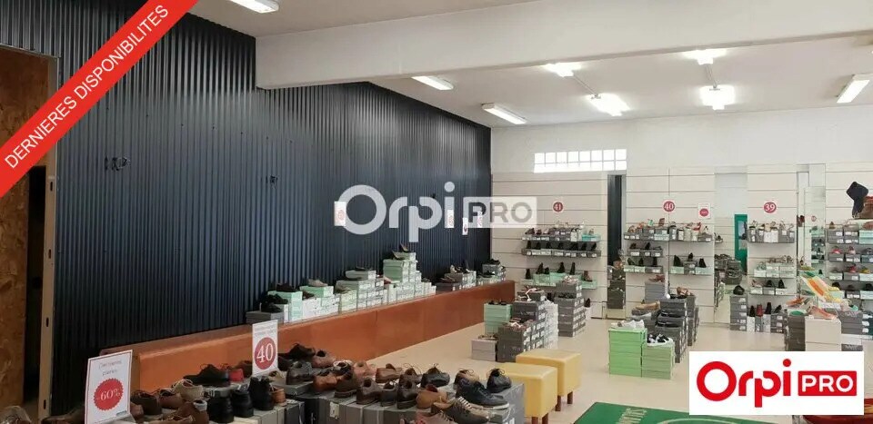 Flex in Romans-sur-Isère for lease - Interior Photo - Image 3 of 7