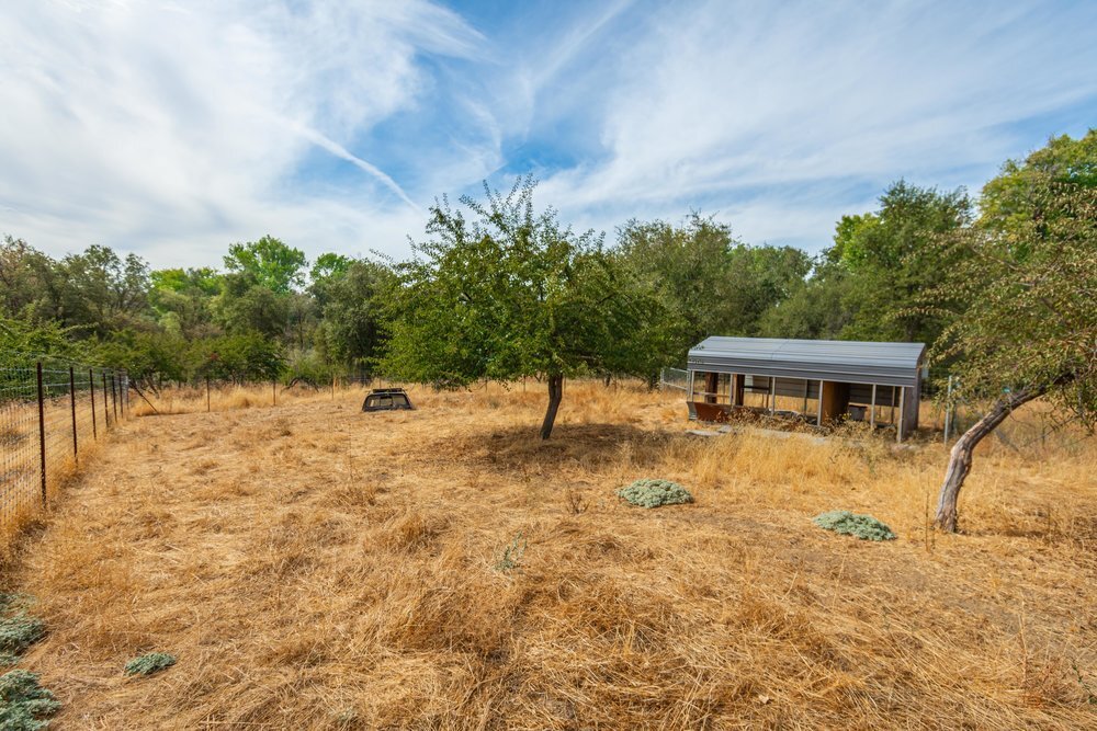 View Photo
