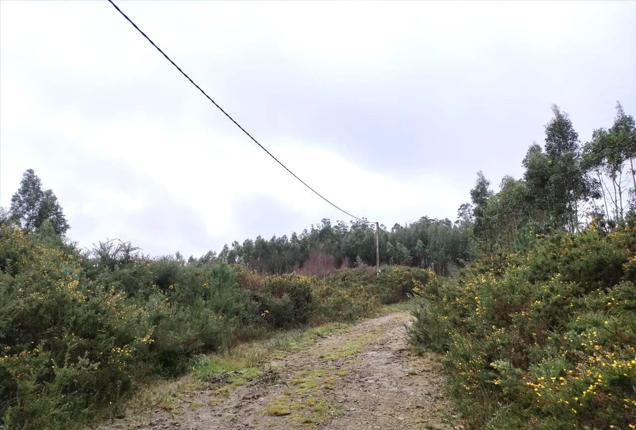 Land in A Coruña for sale Building Photo- Image 1 of 17