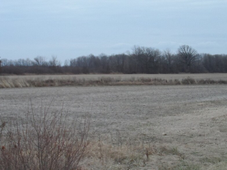 1808 E Labo Rd, Carleton, MI for sale - Building Photo - Image 3 of 11