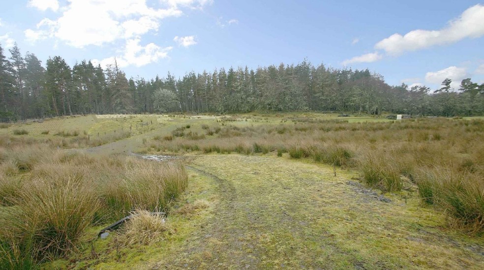 Builnatobrach, Lairg for sale - Primary Photo - Image 1 of 1