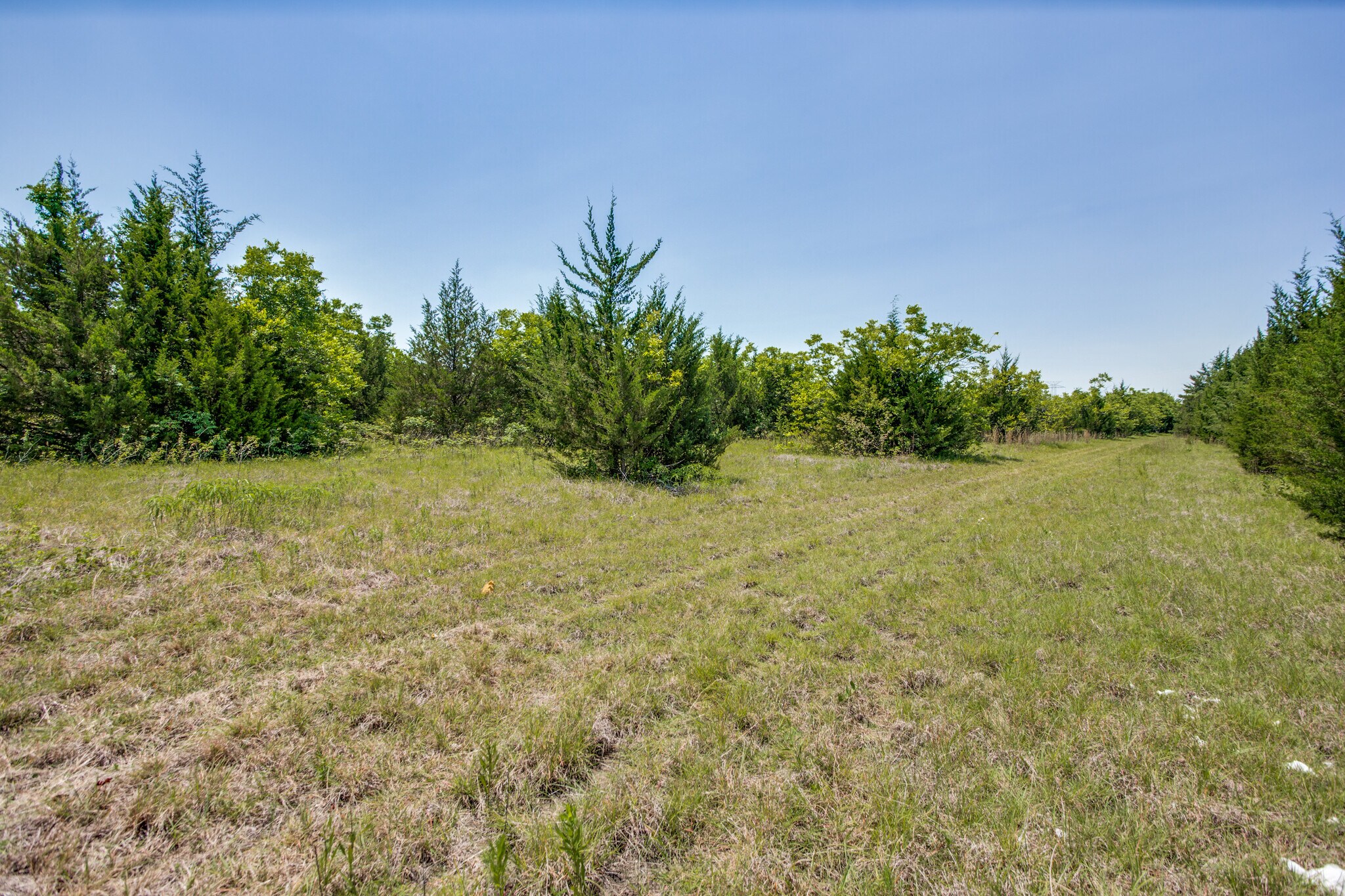 12150 Hwy 69, Whitewright, TX 75491 Perfect for RV Park State Hwy