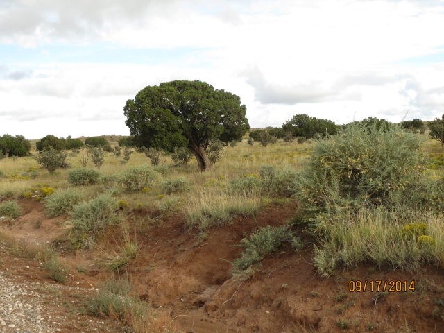 56 Ranch View Loop, Ancho, NM for sale Building Photo- Image 1 of 1