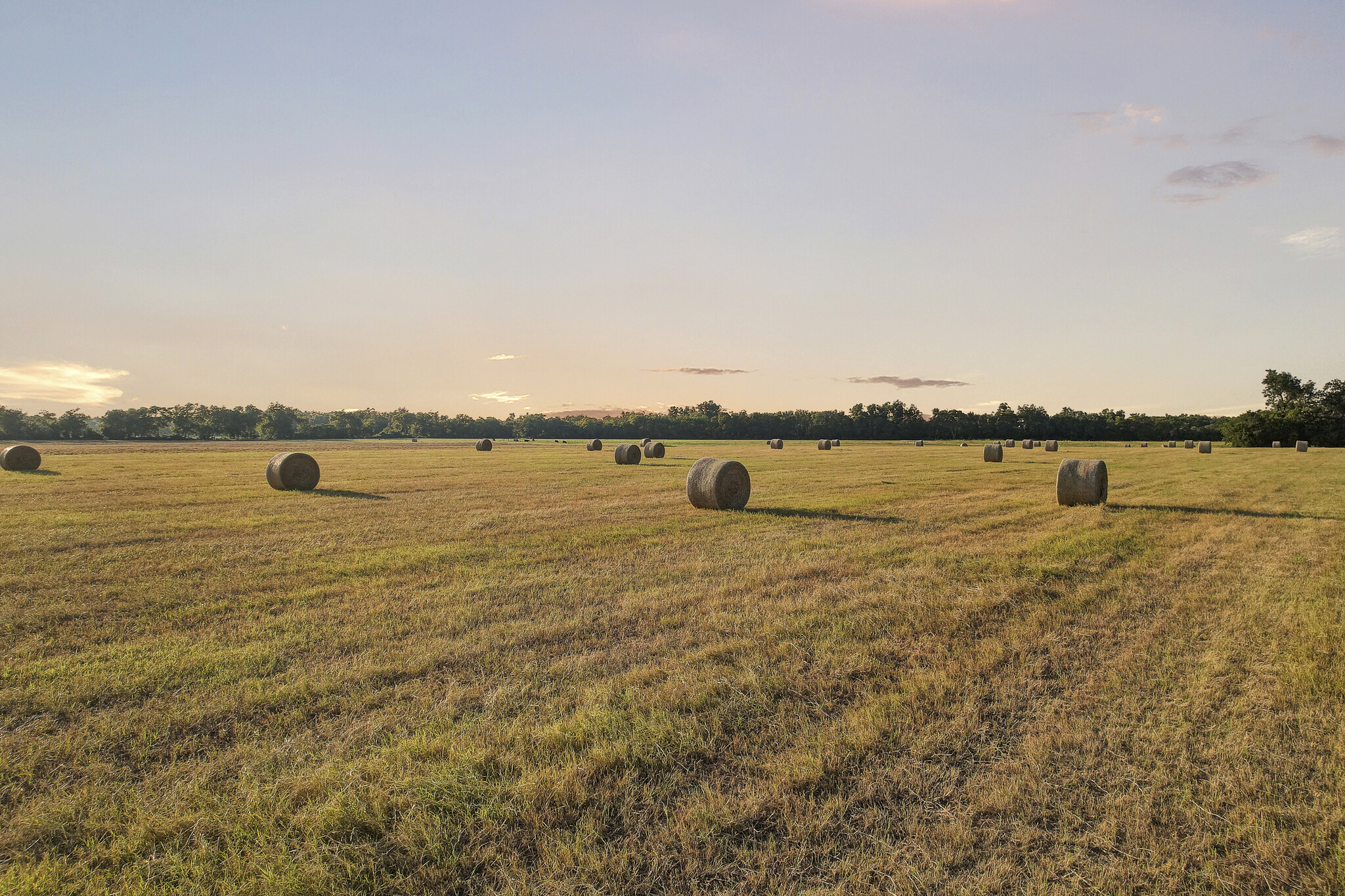 TBD FM 973, Taylor, TX for sale Other- Image 1 of 18