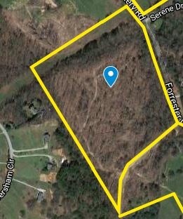 Forrester Cemetery Rd, Loganville, GA for sale Other- Image 1 of 1