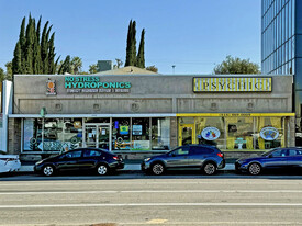 4738-4742 Woodman Ave, Sherman Oaks CA - Convenience Store