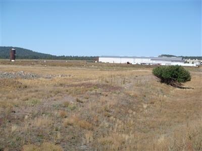 10H W Bellemont Camp Rd, Bellemont, AZ for sale - Primary Photo - Image 1 of 1