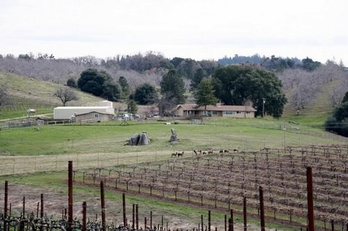 7410 Perry Creek Rd, Somerset, CA for sale Primary Photo- Image 1 of 1