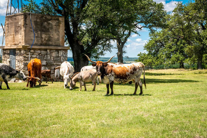 1648 Farm To Market Road 281, Clifton, TX for sale Primary Photo- Image 1 of 1