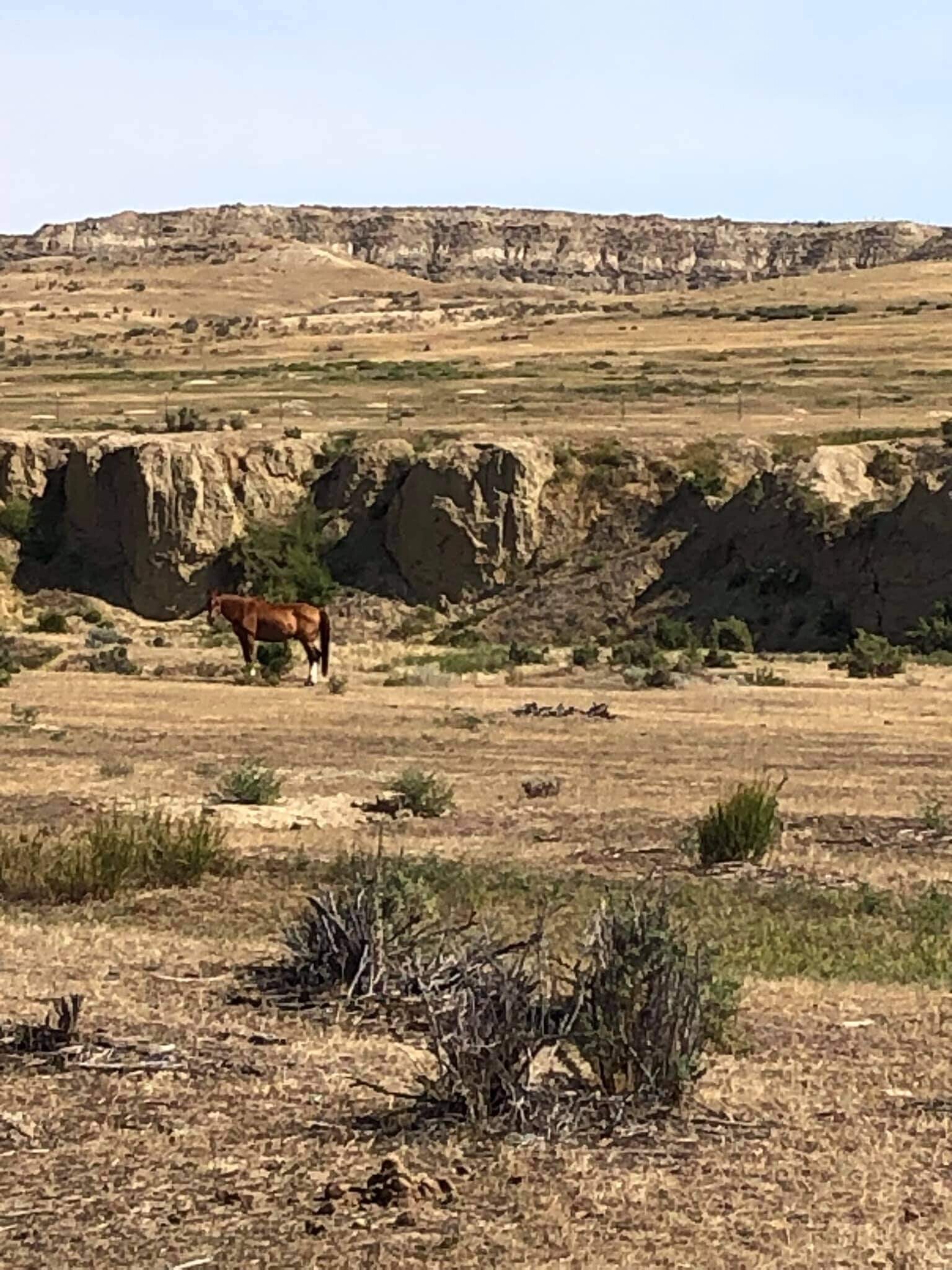 239 Thompson Creek rd, Clearmont, WY 82835 Sage Ridge Clearmont