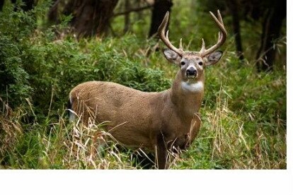 County Rd 232 And Bell, Trenton, FL for sale Building Photo- Image 1 of 1