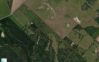 More details for 831 Stockold Rd, Sealy, TX - Land for Sale