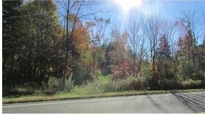 12152 State Route 44, Mantua, OH for sale Primary Photo- Image 1 of 1