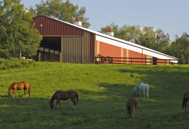 1316 Pit Rd, Java Center, NY for sale Primary Photo- Image 1 of 12