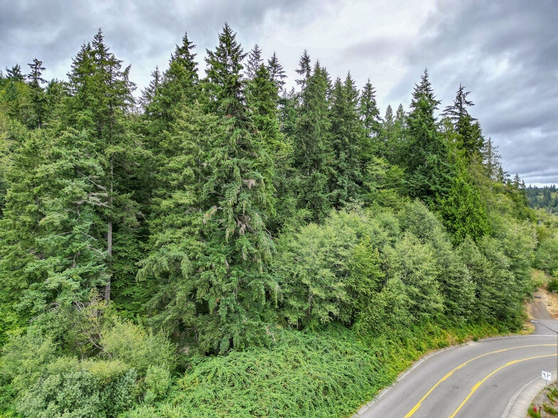 7th Ave, Poulsbo, WA for sale - Aerial - Image 1 of 12