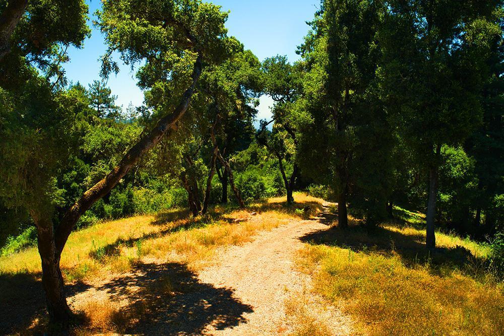 01 Sequoia Way, Aptos, CA for sale Primary Photo- Image 1 of 47