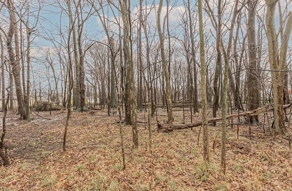 1329 E Schaaf Rd, Brooklyn Heights, OH for sale Building Photo- Image 1 of 1