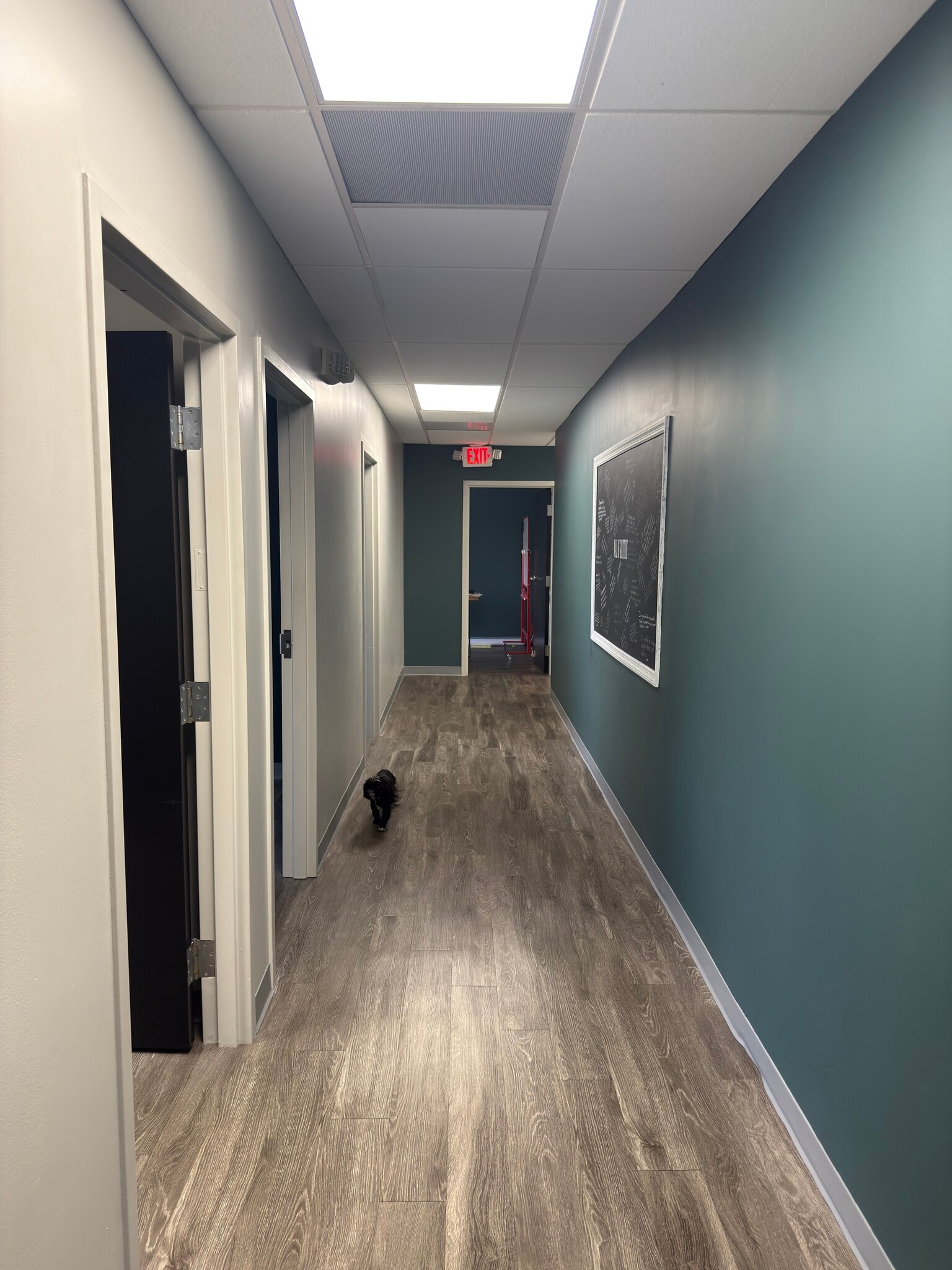 4905 W Laurel St, Tampa, FL for lease Interior Photo- Image 1 of 4