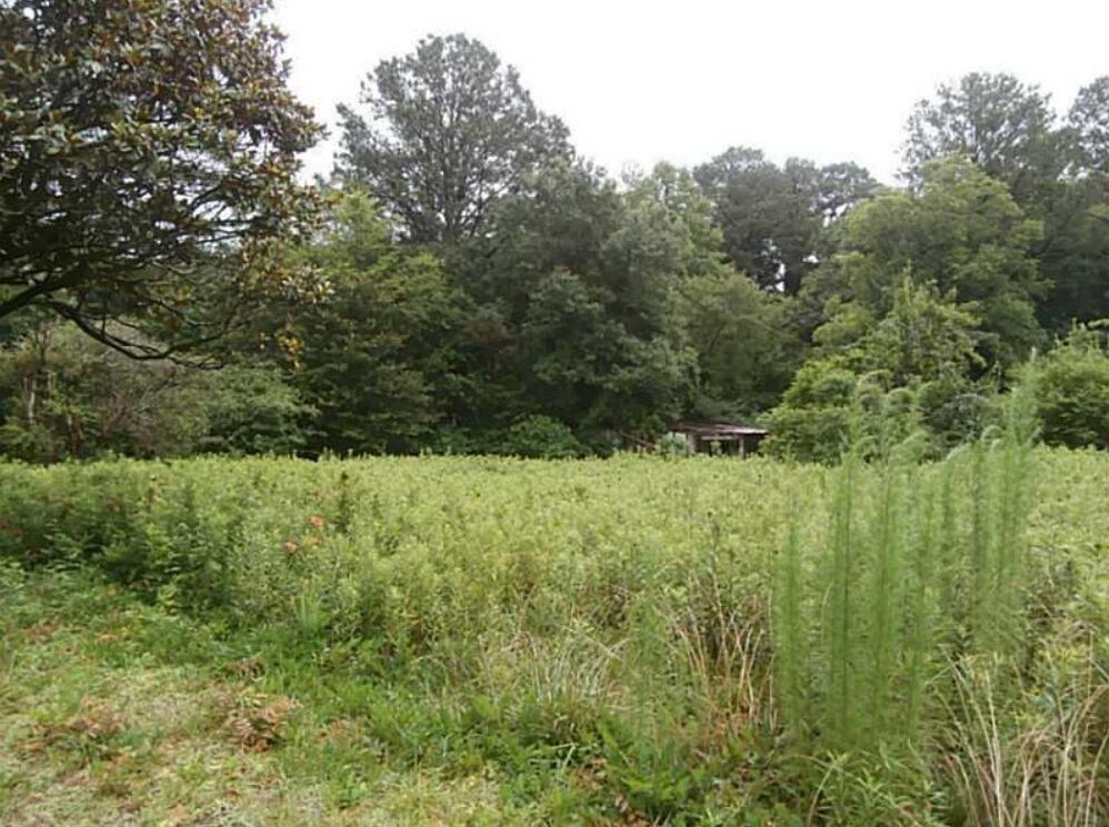 3301 Clay Rd SW, Austell, GA for sale Other- Image 1 of 1