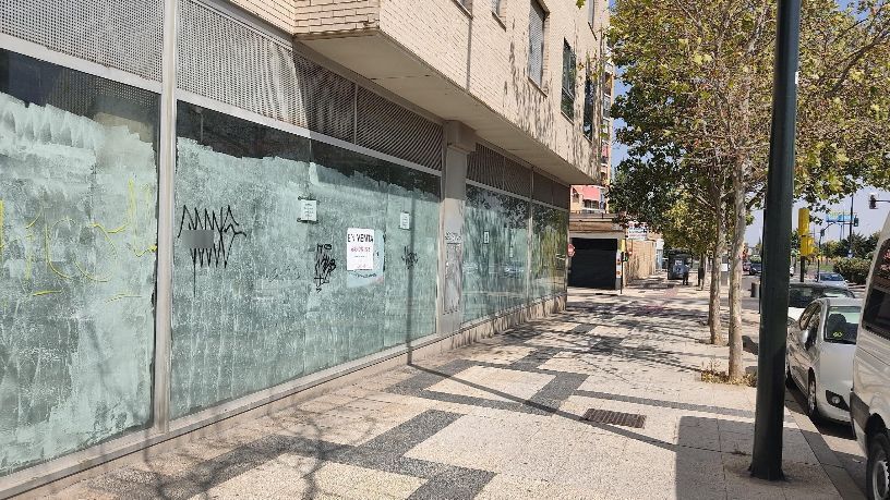 Avenida Alierta, Cesareo, Zaragoza, Zaragoza for sale - Building Photo - Image 2 of 4