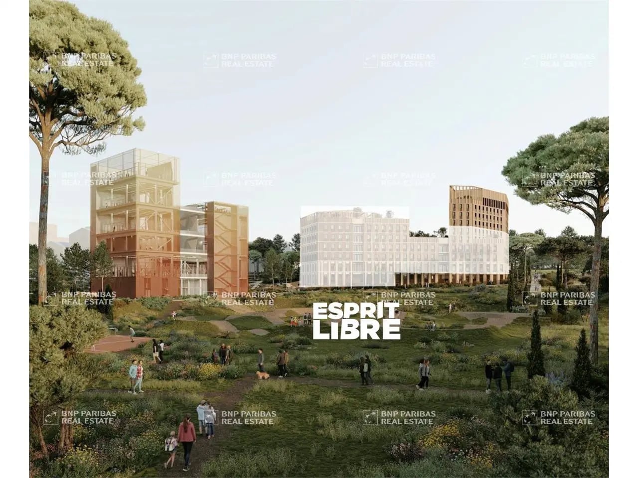 Office in Montpellier for lease Building Photo- Image 1 of 14