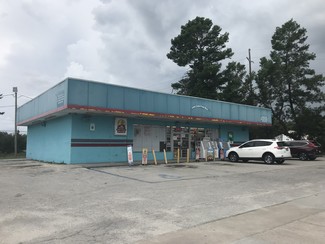 More details for 1971 S US Highway 17, Crescent City, FL - Retail for Sale