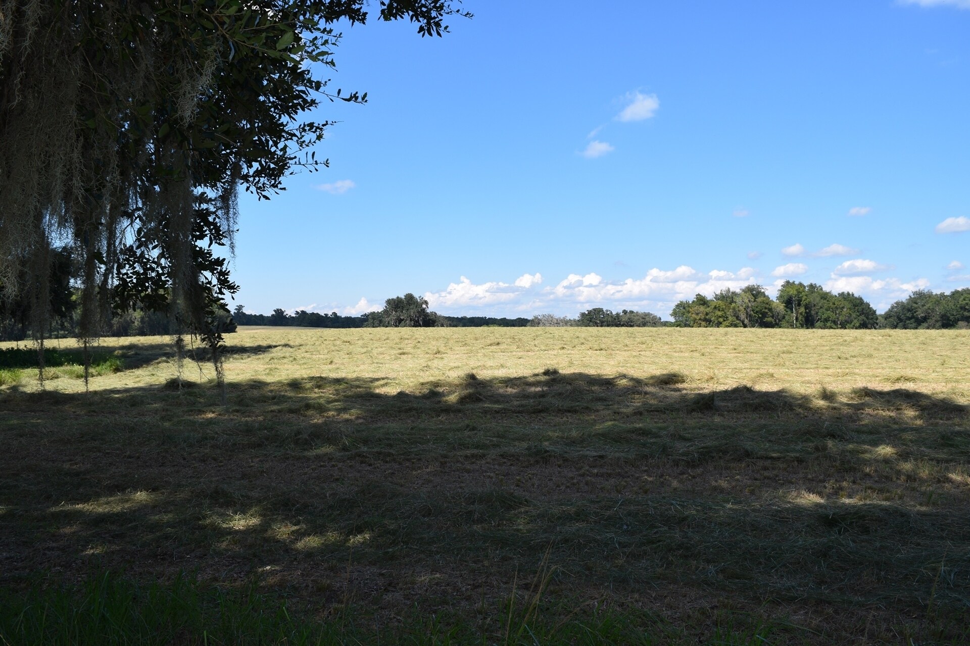 17213 Parsons Rd, Brooksville, FL for sale Primary Photo- Image 1 of 1