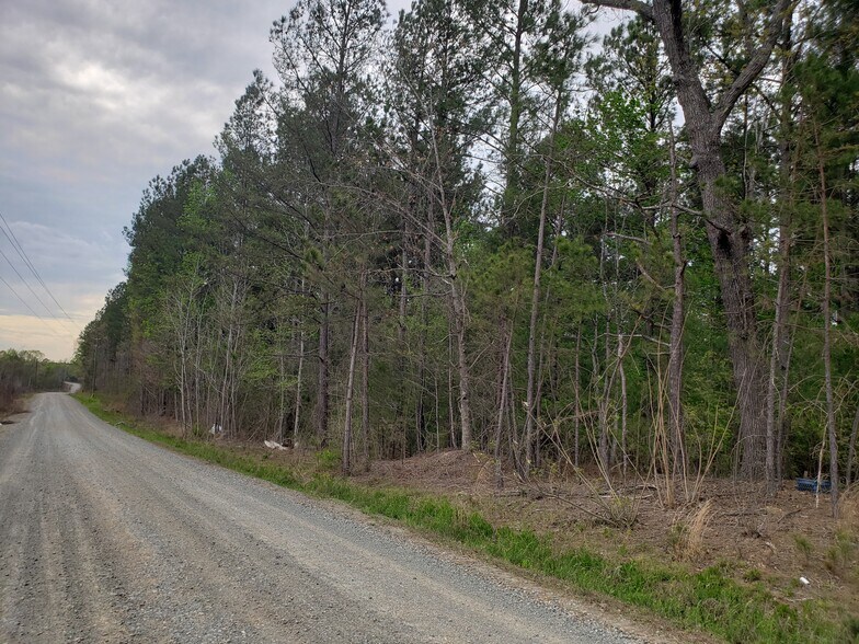 Alton King Rd, Goldston, NC 27252