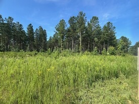 Johnson Rd IND - Mining Land