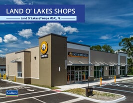 Land O' Lakes Shops - NNN Property