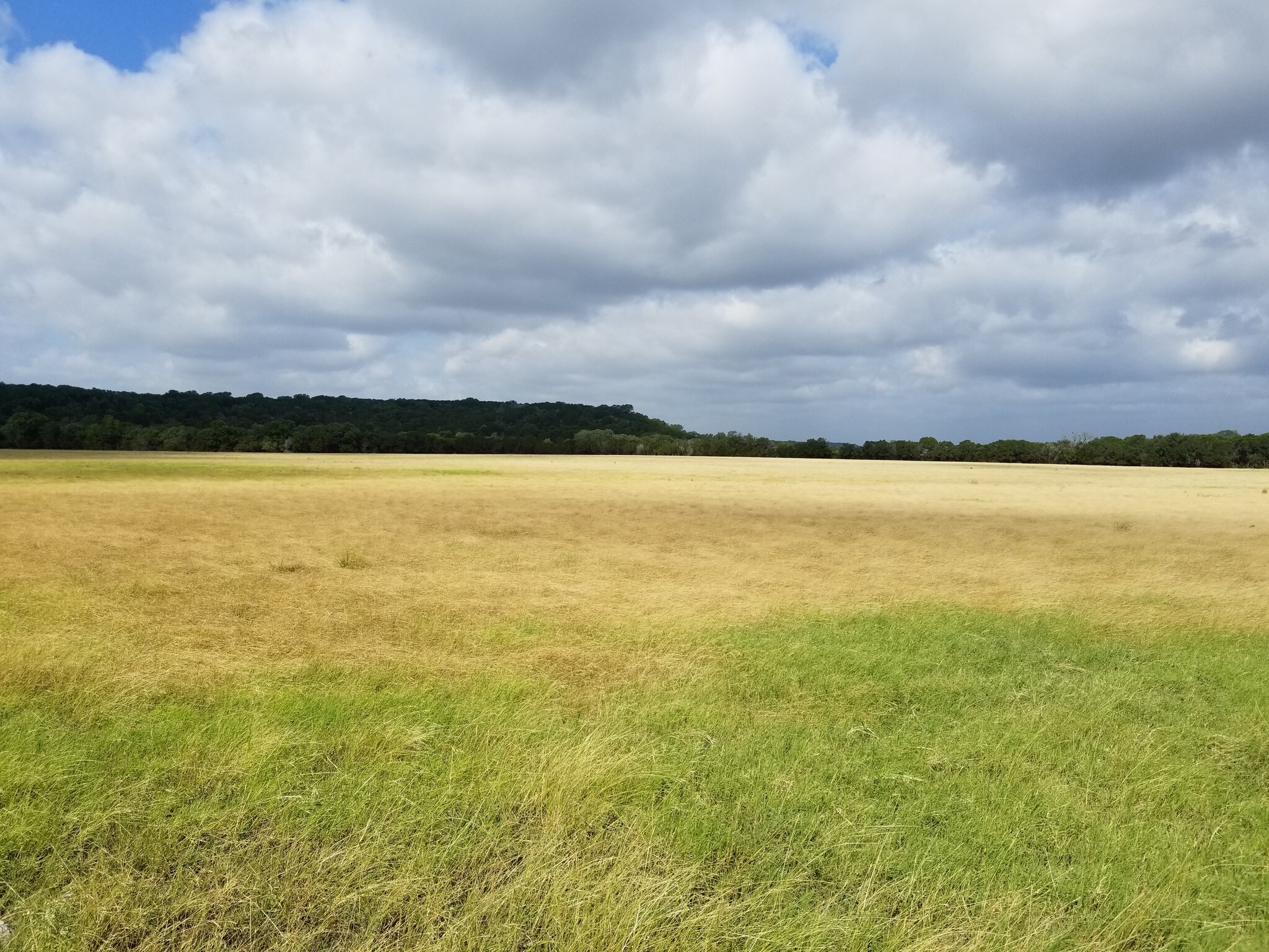 State Hwy 29, Georgetown, TX for sale Primary Photo- Image 1 of 1