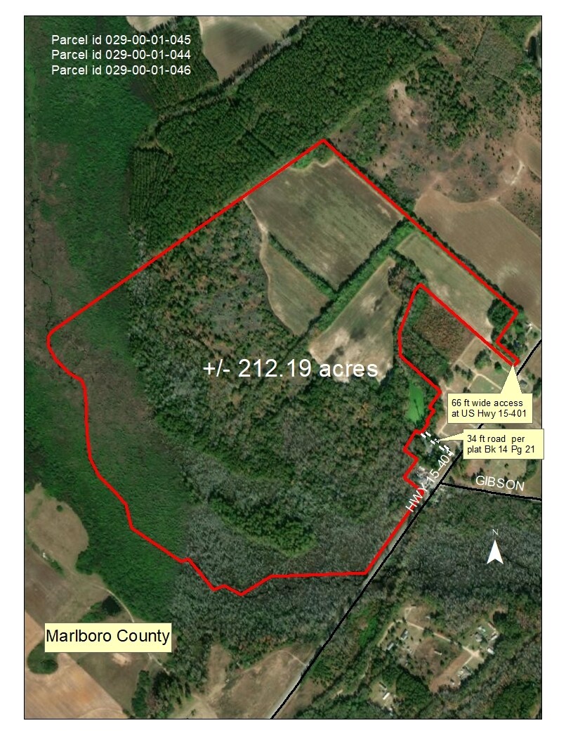 0 Highway 15 401, McColl, SC for sale Primary Photo- Image 1 of 1