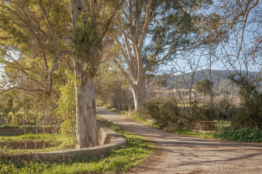 Land in Palma for sale - Building Photo - Image 1 of 39