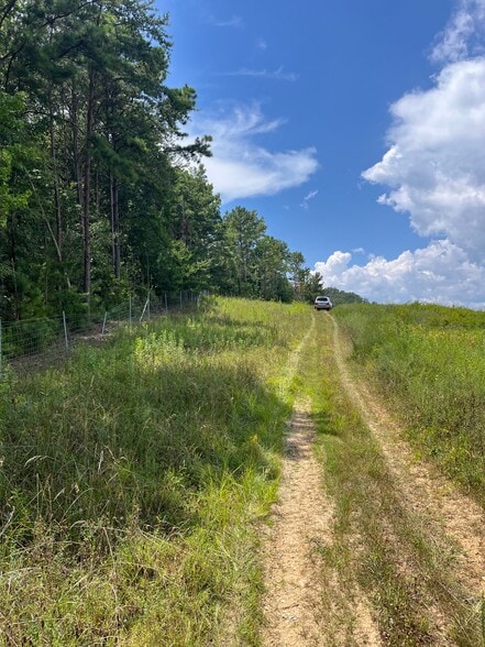 7989 AL-75, Pinson, AL for sale - Building Photo - Image 3 of 5