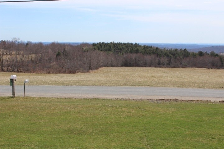 71 Elk Point Rd, Livingston Manor, NY for sale - Other - Image 1 of 1