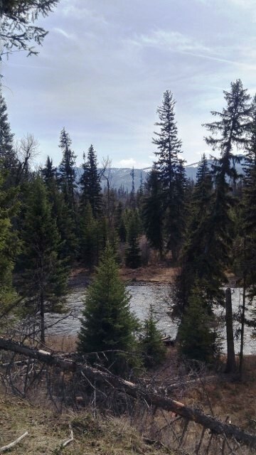 View Photo
