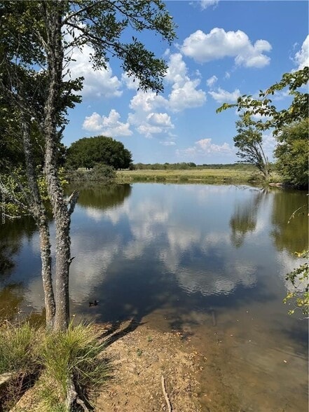 419 Lcr 648, Thornton, TX for sale - Building Photo - Image 3 of 30