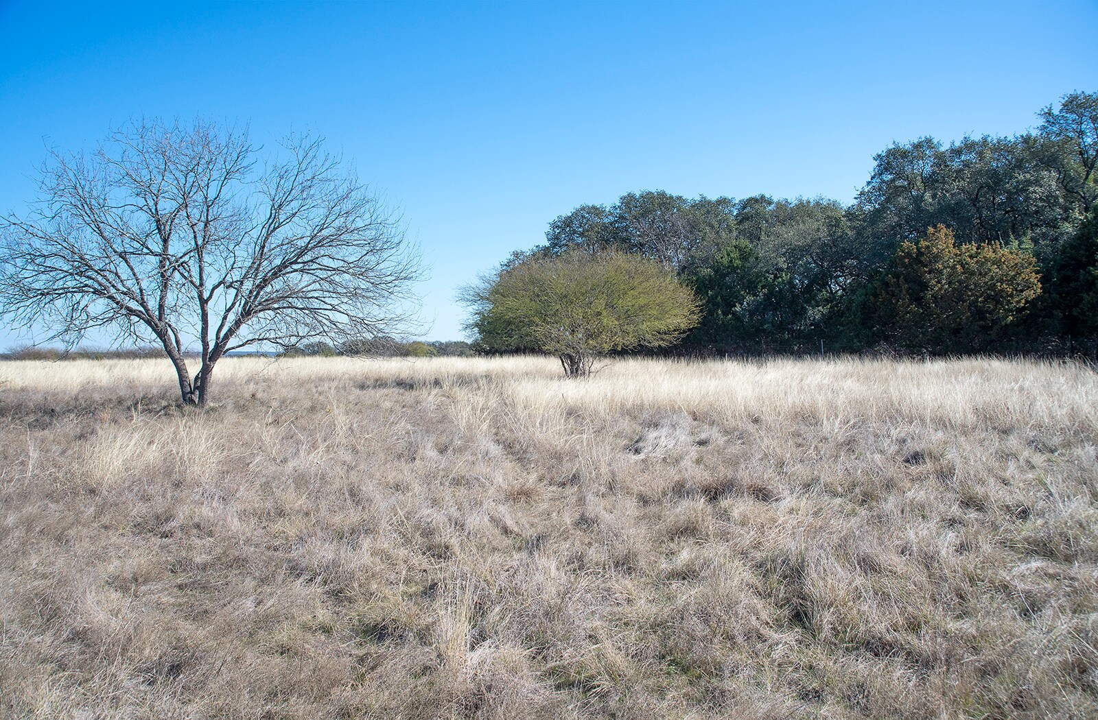 13025 Ranch Road 2338, Georgetown, TX for sale Primary Photo- Image 1 of 1