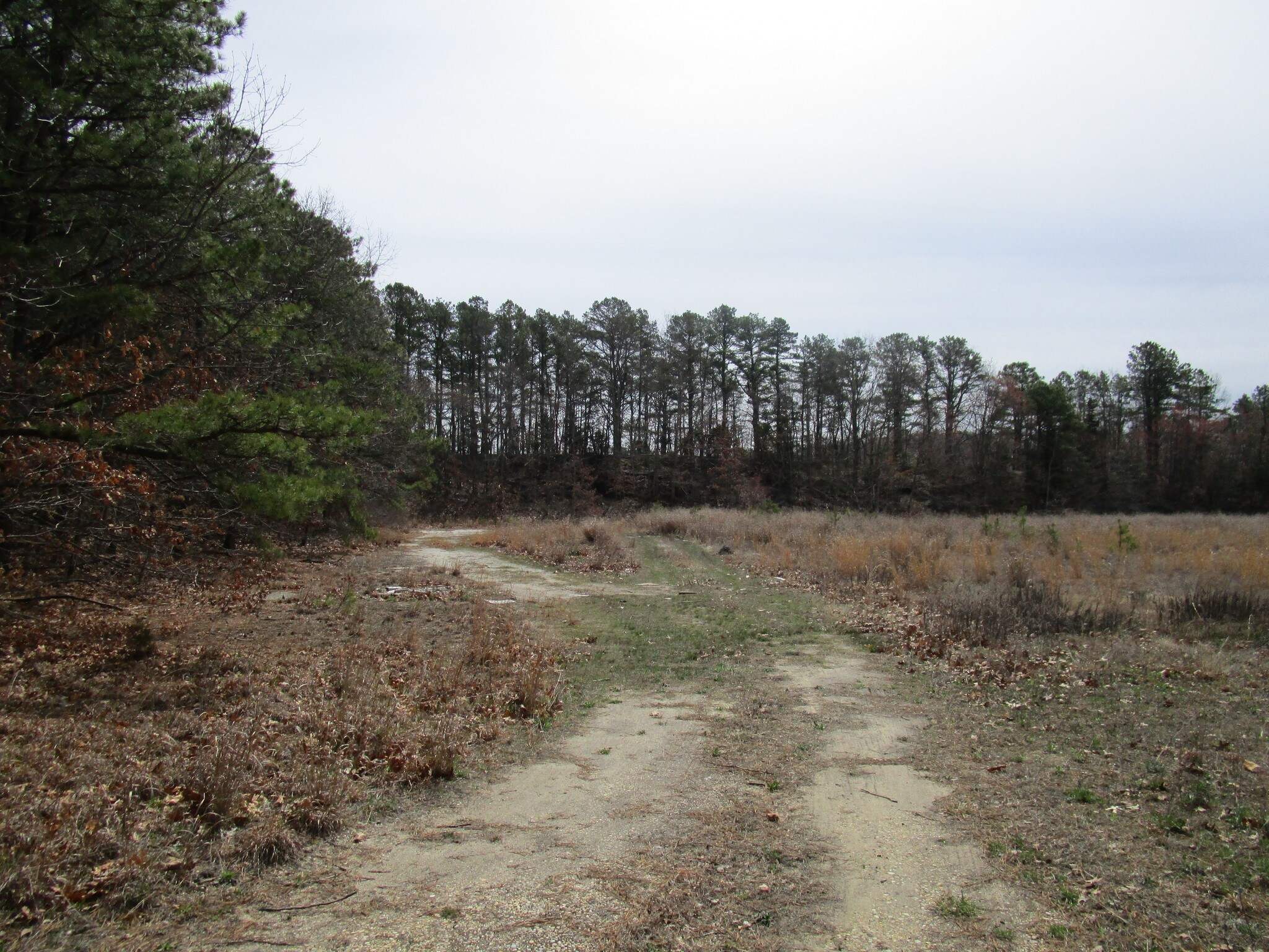 919 W Leeds Ave, Absecon, NJ for sale Building Photo- Image 1 of 1