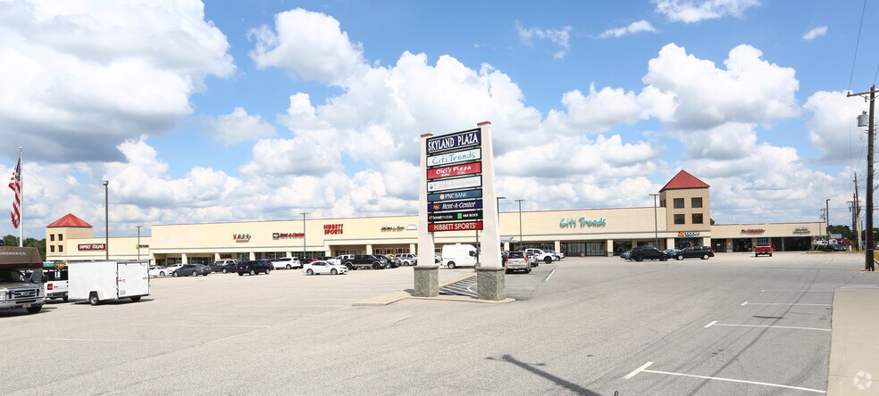 201-251 Lillington Hwy, Spring Lake, NC for sale - Primary Photo - Image 1 of 1