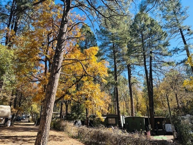 1065 E Christopher Creek Loop, Payson, AZ for sale - Building Photo - Image 2 of 5